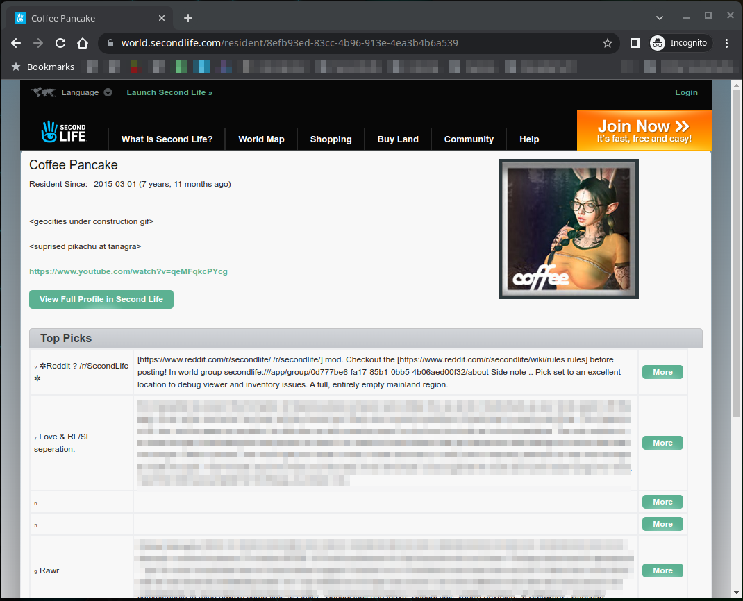 [BUG-233346] Second Life profiles published by LL without respect to ...